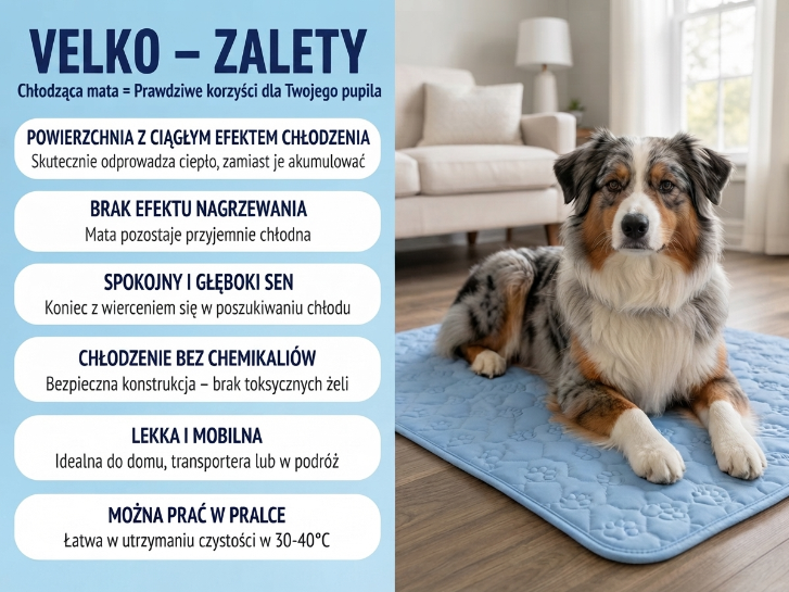 Title Il tappetino che resta fresco — anche dopo ore sotto il tuo cane.